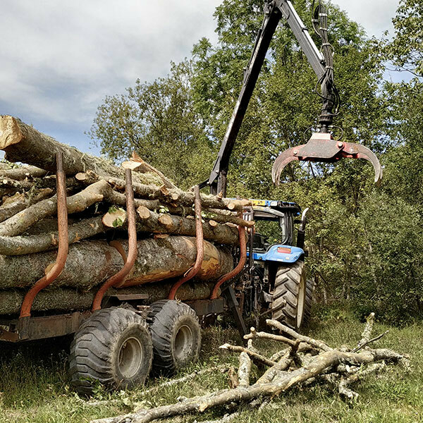 Transport de bois